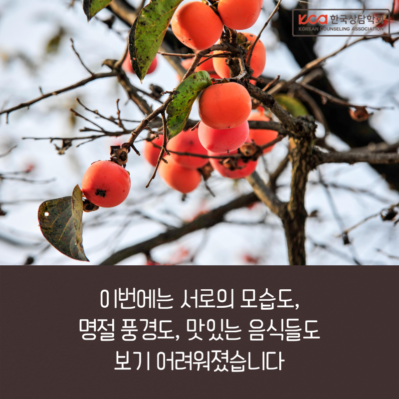 추석에도 멀게, 가깝게03.png
